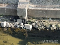 권선구 먹물제조공장서 흘러나온 100리터 먹물, 매산천 유입