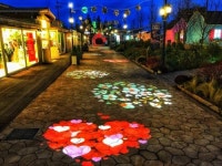 [주말 수도권 가볼만한 곳] 2018인천송도불빛축제 개막·파주서 러브인 프로방스 빛축제