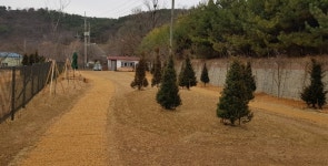 김포시, 하성근린공원에 반려동물 전용공원 조성 완료