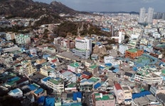 손혜원 투기 의혹 목포 근대역사문화공간 2017년부터 거래 활성화