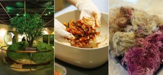 [주말 가볼만한 곳] 난 먹으러 간다...눈으로 맛보는 먹거리 박물관 여행