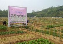 안산시, 주말농장 4곳 3천375 구획 분양