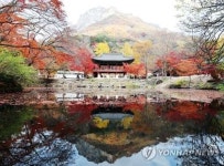 나혼자산다 박나래 템플스테이 체험 장성 백양사, 가을에 가면 내장산 단풍 더 아름다워