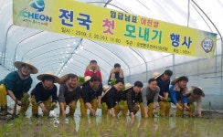 이천서 올해 첫 모내기 올해도 대풍이요