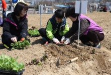 의왕시, 2019 행복가꿈 주말농장 분양