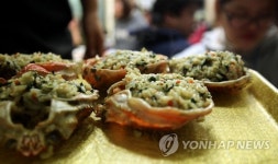 [주말 강원권 가볼만한 곳] 대게 맛보고 갯바위에 부서지는 명품 파도 보고 속초로 떠나자!