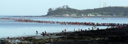 [주말 호남권 가볼만한 곳]  진도 신비의 바닷길 축제…남원 용궁마을에는 산수유꽃 만발