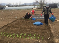 도심 속 텃밭 가꿔요 성남시민농원 6일 개장