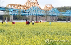 [주말 영남권 가볼만한 곳] 경남 밀양서 밀양무안 고추축제·창녕서는 유채축제 한창