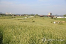 안성팜랜드 호밀밭 축제·가평 쁘띠 프랑스…각종 공모전·공연 풍성