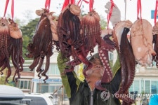 [주말 강원권 가볼만한 곳]  원주한지문화제 한지 등 6천점 장관…고성 저도어장 10㎏ 대문어 만선