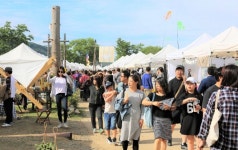 한국도자재단, 곤지암도자공원 참나무언덕 유채꽃밭 개장