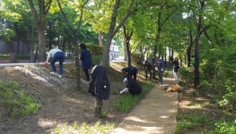 성남시, 시민과 함께 도시 숲 조성 꽃길만 걸으세요