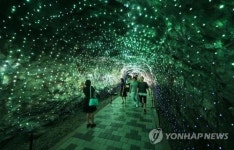 [주말 수도권 가볼만한 곳] 인천 운동축제 시티 포레스티벌·의정부 경기평화광장서 독서축제·광명동굴 와인 레스토랑
