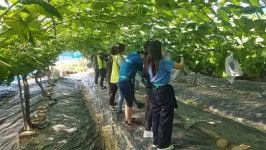 NH농협은행 군포시지부 범농협 농촌사랑 봉사단 농촌 일손 돕기