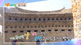 생생정보 돌탑으로 건설한 나나랜드… 27년 동안 100개 넘게 쌓았다