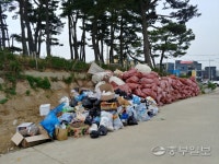 [현장르포] 매주 8천L... 안산 방아머리 해변 관광객 쓰레기 무단투기 극성
