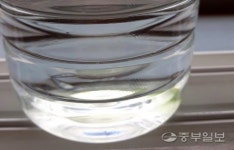 녹조 미추홀참물 현실로… 기준초과로 음용 부적합