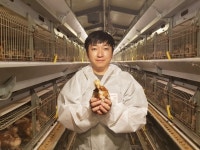 행복한 청년농부 김선도 대붕농장 대표 신선한 달걀 생산 초심 지키면 입소문 나지 않을까요