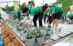 [주말 호남권 가볼만한 곳] 광주 김대중컨벤션센터 광장·전주 종합경기장 주차장서 한여름 맥주축제