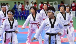 [화보] 인천시장기 겨루기 및 품새·실버태권도대회
