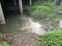 쓰레기·악취에 물고기 사체 둥둥… 죽어가는 시흥 군자천