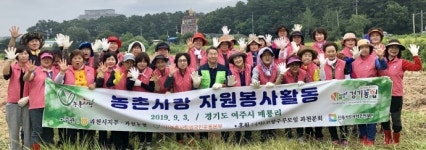 농협과천시지부, 여주시 매룡리 농가 찾아 고구마 수확 도와