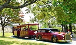 [추석연휴 가볼만한 곳] 수원 광교호수공원 꽃 만개… 화성행궁에는 화성어차 달린다