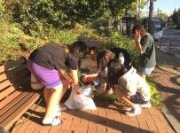 안산시 사동 청소년열정공간99℃, 마을 환경 정화활동 실시