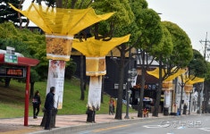 냄새나는 은행 열매, 이렇게 처리해요