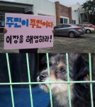 제보자들 #이장 2명인 제주 거문오름 마을 #83세 애니멀 호더 할머니의 사연?