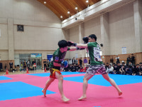 대한특공무술연맹, 2019 특공무술 챔피언십 성황리에 마쳐
