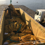 [현장르포] 올해 첫 경기도 김 경매날 화성 궁평항을 가다