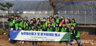 농협양평군지부, 청운면 외갓집 체험마을서 농촌일손돕기 전개
