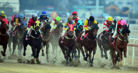 한국마사회 서울 경마공원 그랑프리(GⅠ) 기념행사 풍성