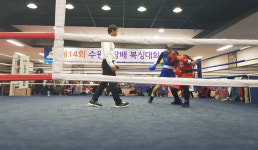 수원시장배 복싱대회 성황리 개최