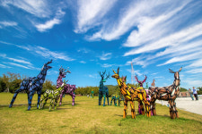 양평군립미술관서 다음달 26일까지 겨울사슴 winter deer전 진행