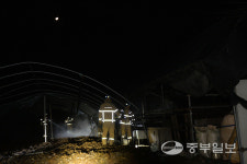 늦은 밤 사이 목장 화재 송아지 1마리 폐사