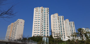 부동산 경기 위축에도 판교 10년 공공임대 매수열기 뜨겁다