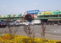 구리농수산물도매시장, 도매시장 내 봄꽃 식재로 코로나19 극복 응원