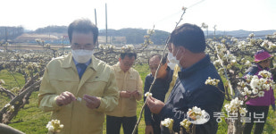 개화기에 꽃샘추위 덮쳐…경기 지역 과수농가 대규모 냉해