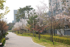 인천도시공사 신혼부부·청년 행복주택, 구월동에 들어선다