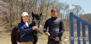 [행복한 청년농부] 취미 삼아 포니 3마리로 시작해 14마리 농장 운영 용인포니승마클럽 최태훈 대표·박선영 실장 부부