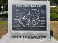 [항일 현장에서 미래를 그리다] 평택의 4월 만세운동… 독립만세 외치며 장엄했던 화염의 바다