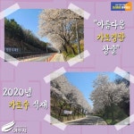 [e여주소식] 아름다운 가로경관 창출… 여주시, 2020년도 가로수 식재