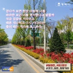 [e평택소식] 걷고 싶은 힐링거리… 평택시, 국도1호선 남부문화예술회관~동삭교 구간이 달라졌다