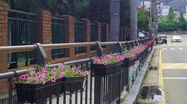 [e의정부소식] 살기 좋고 쾌적한 동네로… 의정부시 장암동, 주민센터 앞 꽃길 조성