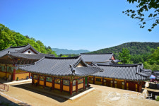 [아름다운 경기도의 사찰] 비밀의 숲 간직한 봉선사, 일주문 들어서면 그윽한 연꽃 향기