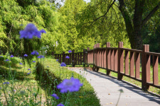 [아름다운 경기도의 사찰] 비밀의 숲 간직한 봉선사, 일주문 들어서면 그윽한 연꽃 향기
