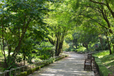 [아름다운 경기도의 사찰] 비밀의 숲 간직한 봉선사, 일주문 들어서면 그윽한 연꽃 향기